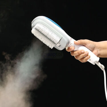 Portable Steam Iron (PD6)