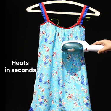 Portable Steam Iron (PD6)