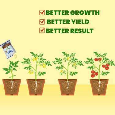 Toki Growth Booster for Vegetable Fruits & Flowers