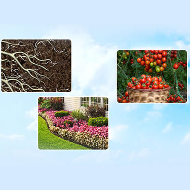Toki Growth Booster for Vegetable Fruits & Flowers