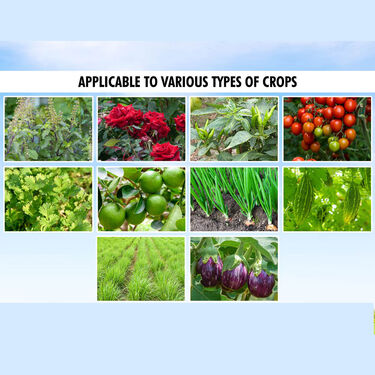 Toki Growth Booster for Vegetable Fruits & Flowers