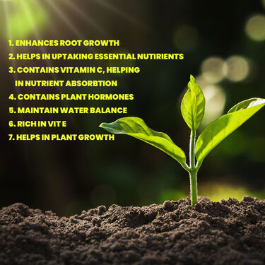 Toki Growth Booster for Vegetable Fruits & Flowers