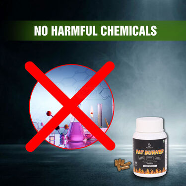 Weight Wellness Tablet (NS05)