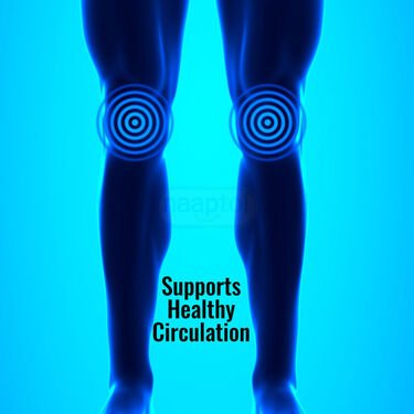 Compression knee Support (CKS05)
