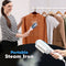 Portable Steam Iron (PD6)