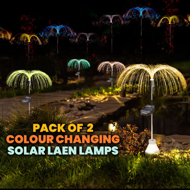 Pack of 2 Colour Changing Solar Lawn Lamps (L22)